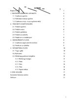 Biznesa plāns 'Biznesa plāns', 1.