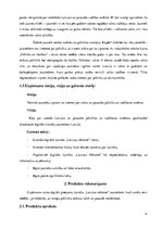 Biznesa plāns 'Biznesa plāns', 4.