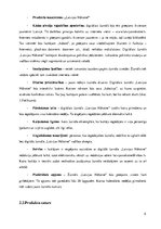 Biznesa plāns 'Biznesa plāns', 5.