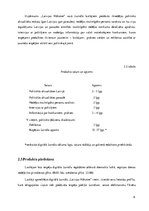 Biznesa plāns 'Biznesa plāns', 6.