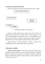 Biznesa plāns 'Biznesa plāns', 8.