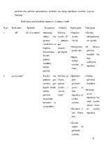 Biznesa plāns 'Biznesa plāns', 12.