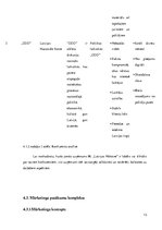 Biznesa plāns 'Biznesa plāns', 13.