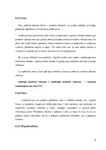 Biznesa plāns 'Biznesa plāns', 16.