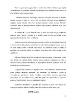 Biznesa plāns 'Biznesa plāns', 17.