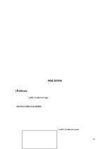 Biznesa plāns 'Biznesa plāns', 21.