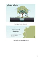 Biznesa plāns 'Biznesa plāns', 23.