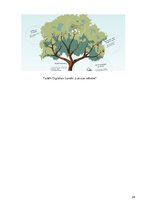 Biznesa plāns 'Biznesa plāns', 24.