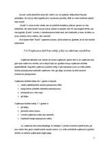 Biznesa plāns 'Viesu nama biznesa plāns', 11.