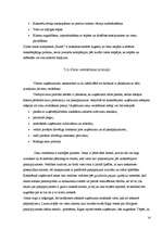 Biznesa plāns 'Viesu nama biznesa plāns', 14.