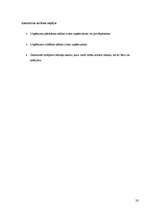 Biznesa plāns 'Viesu nama biznesa plāns', 28.