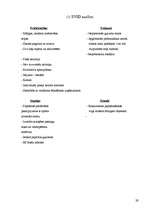 Biznesa plāns 'Viesu nama biznesa plāns', 29.