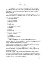 Biznesa plāns 'Viesu nama biznesa plāns', 30.