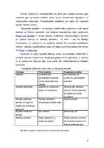 Referāts 'SIA "ABC" finanšu rādītāju analīze', 6.