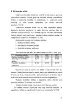 Referāts 'SIA "ABC" finanšu rādītāju analīze', 17.