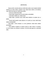 Diplomdarbs 'Latvijas vietējā tūrisma reklāma', 2.