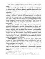 Diplomdarbs 'Latvijas vietējā tūrisma reklāma', 12.