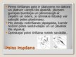 Prezentācija 'Datorpeles', 10.