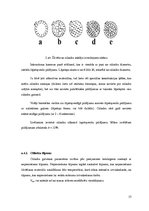 Referāts 'Cilindriskās žāvētavas iekārta', 13.