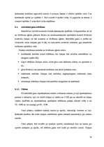 Referāts 'Cilindriskās žāvētavas iekārta', 34.