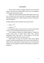 Referāts 'Cilindriskās žāvētavas iekārta', 51.