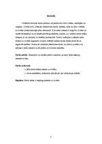 Referāts 'Krāsu ietekme uz cilvēku', 3.