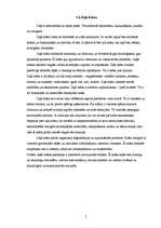 Referāts 'Krāsu ietekme uz cilvēku', 7.