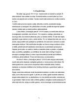 Referāts 'Krāsu ietekme uz cilvēku', 8.