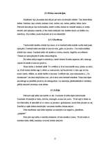 Referāts 'Krāsu ietekme uz cilvēku', 17.