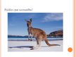 Prezentācija 'Austrālijas ievērojamākās tūrisma vietas', 15.