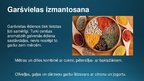 Prezentācija 'Turku virtuve', 6.