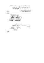 Konspekts 'Publisko tiesību ievads', 26.