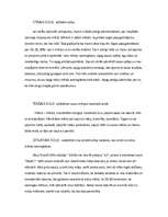 Eseja 'Veiksmes formula', 2.