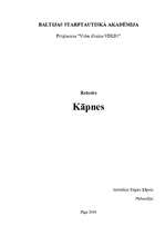 Referāts 'Kāpnes', 1.
