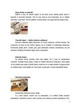 Referāts 'Kāpnes', 5.