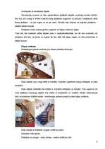 Referāts 'Kāpnes', 11.