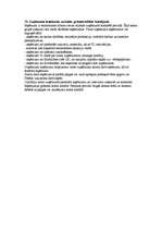 Konspekts 'Konspekts eksāmenam grāmatvedībā', 16.