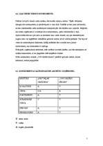 Biznesa plāns 'Biznesa plāns "Savvaļas orhideja"', 7.