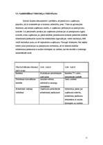 Biznesa plāns 'Biznesa plāns "Savvaļas orhideja"', 11.