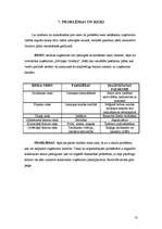 Biznesa plāns 'Biznesa plāns "Savvaļas orhideja"', 13.