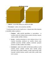Konspekts 'Mācīšanas teorija', 1.