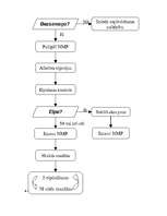 Konspekts 'Pirmā palīdzība', 5.