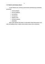 Prakses atskaite 'Rīgas Latviešu biedrības nams', 12.