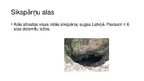 Prezentācija 'Latvijas alas', 10.