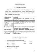 Biznesa plāns 'SIA "Smile"', 6.