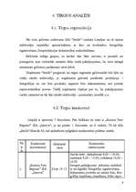 Biznesa plāns 'SIA "Smile"', 9.