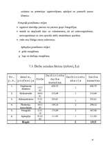 Biznesa plāns 'SIA "Smile"', 16.