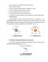 Referāts 'Konkurence starp Latvijas un ārzemju tūroperatoriem', 21.