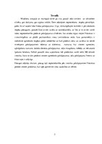 Referāts 'Viesnīcu ķēdes', 2.