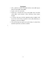 Referāts 'Viesnīcu ķēdes', 9.